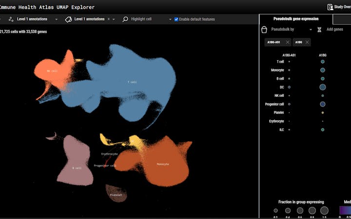 Immune Health Atlas preview